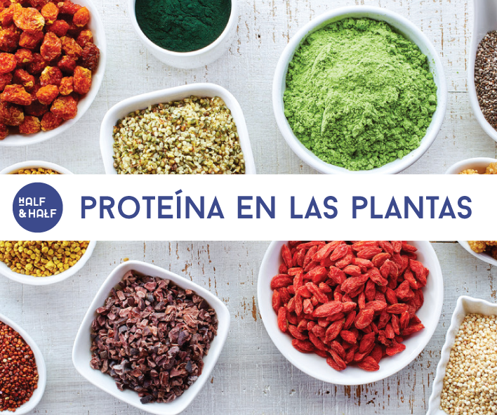Plantas con proteína