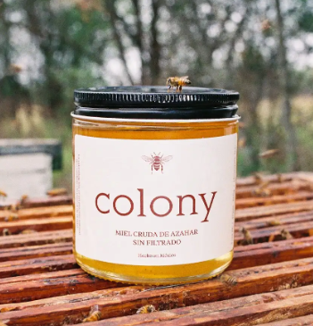 Colony: Miel cruda de Azahar