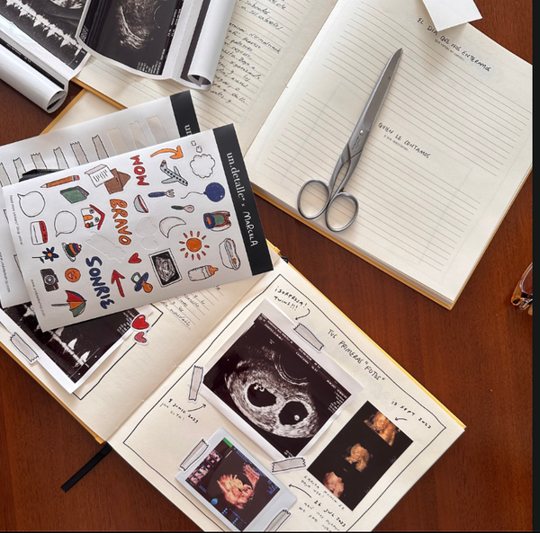 The Baby Journal