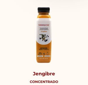 Turmeriactive Blends / Concentrado Jengibre